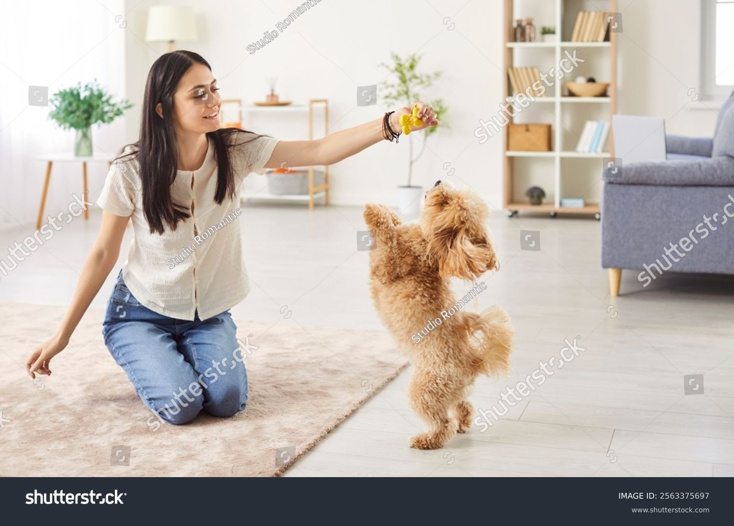 Interação tutora e pet