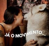 Husky Siberiano da Carla Vitti-minha mentora.